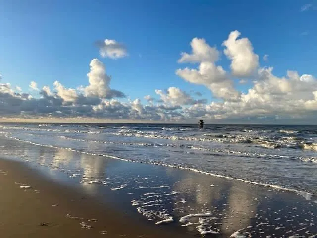 Seaview With Style Apartment Ostend Belgium